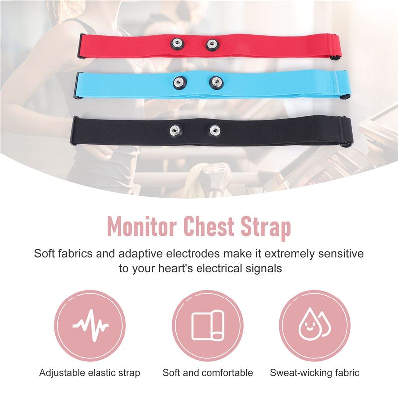 RTENTE-3Pcs Magene 심박수 가슴 스트랩용 - Heart Rate Strap Chest 리뷰 및 가격