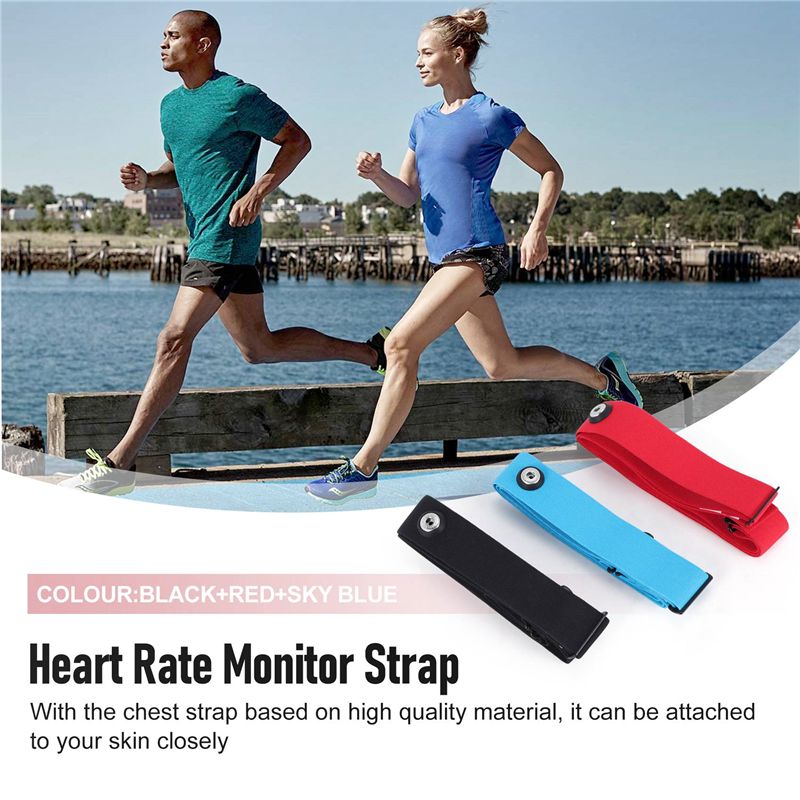 RTENTE-3Pcs Magene 심박수 가슴 스트랩용 - Heart Rate Strap Chest 리뷰 및 가격