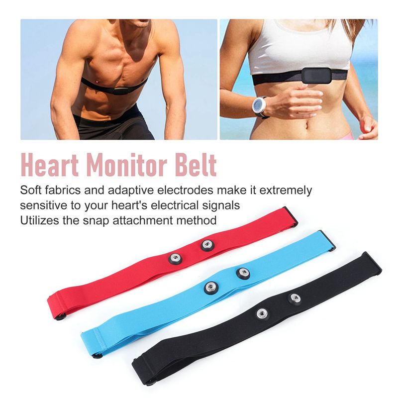 RTENTE-3Pcs Magene 심박수 가슴 스트랩용 - Heart Rate Strap Chest 리뷰 및 가격
